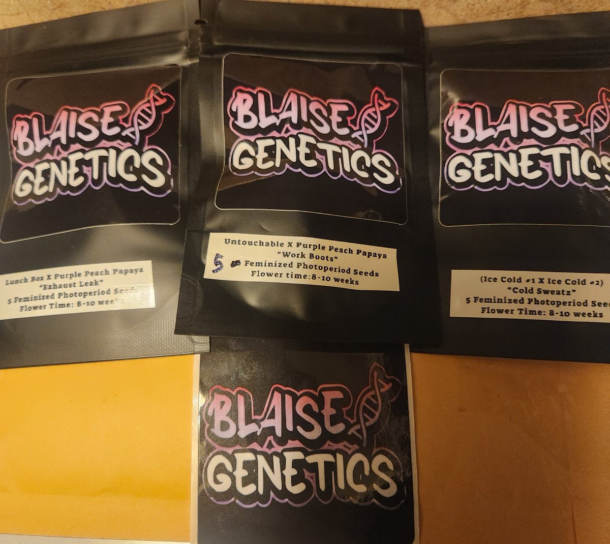 Huge S/O to @BlaiseGenetics more papaya added to the collection😍cannot wait to pop em😈