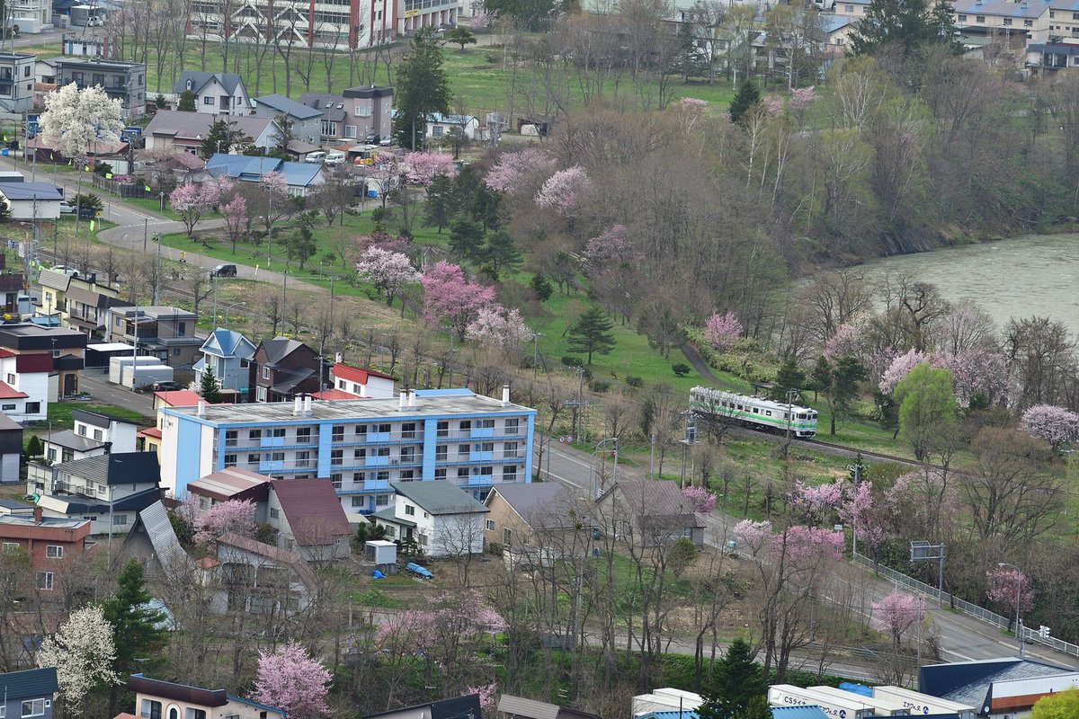 根室本線桜シリーズ

満開の桜の街並みを走るキハ40
赤平市777段日本一のズリ山階頂上からの俯瞰でした。

2024年4月27日撮影

#キハ40
#キハ40系
#桜
#列車のある風景
#撮り鉄
#鉄道写真
#鉄道ファン
#鉄道のある風景
#鉄道好き
#根室本線
#赤平市
#ズリ山