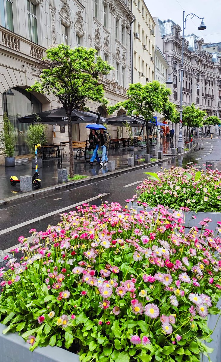 ☔ Bucharest #now
#Bucharest #România 
©️ Bucharest 
#TraveltoRomânia