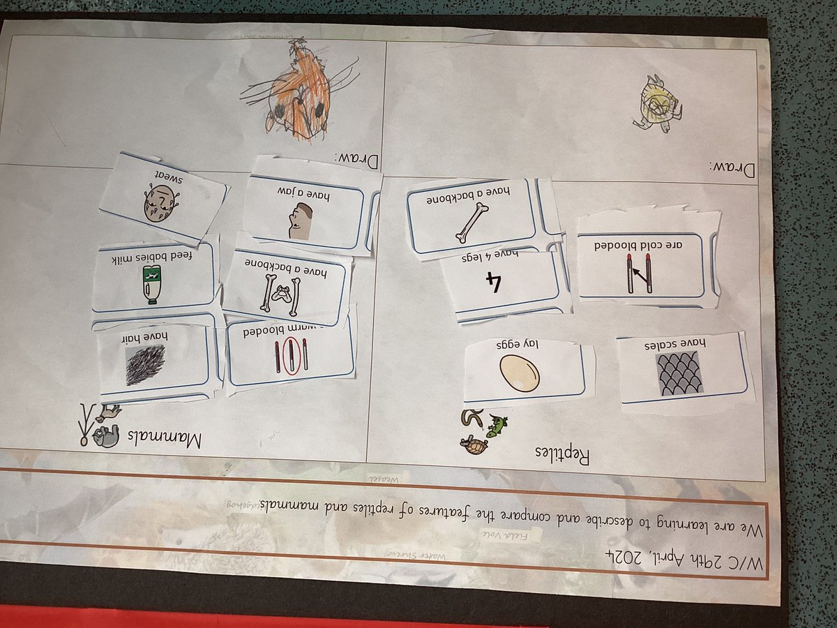 WhitewaysY1's tweet photo. Check out our Science learning from this week! We have been able to sort the features of different types of animals and have drawn pictures of them too. 
We have then chosen to draw more pictures in our free time to show off our understanding. https://t.co/D4znxui0Lk