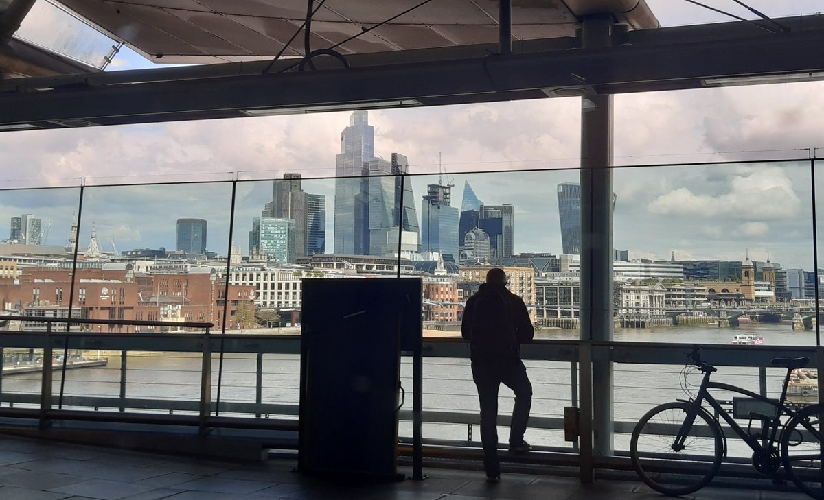 Thank you to @Bromley_TH & @SELWDH for inviting an Occupational Therapist to deliver a workshop at your conference. Great questions from the room. Also the opportunity to catch up with @drtarageorge on commute (loved the views from Thames link👍)
