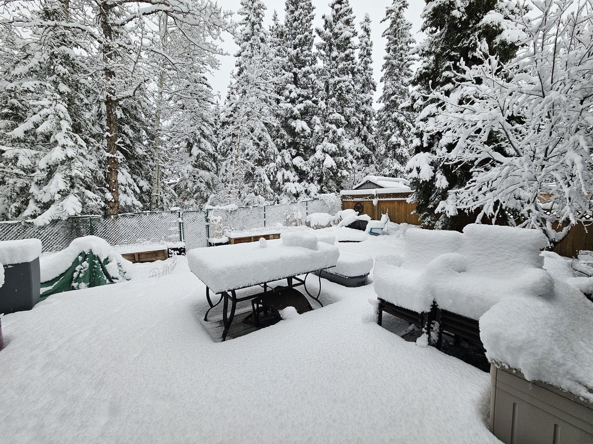 ScotchCanmore's tweet photo. It's still April...
It's still April...
It's still April... https://t.co/PnqFAbFddV