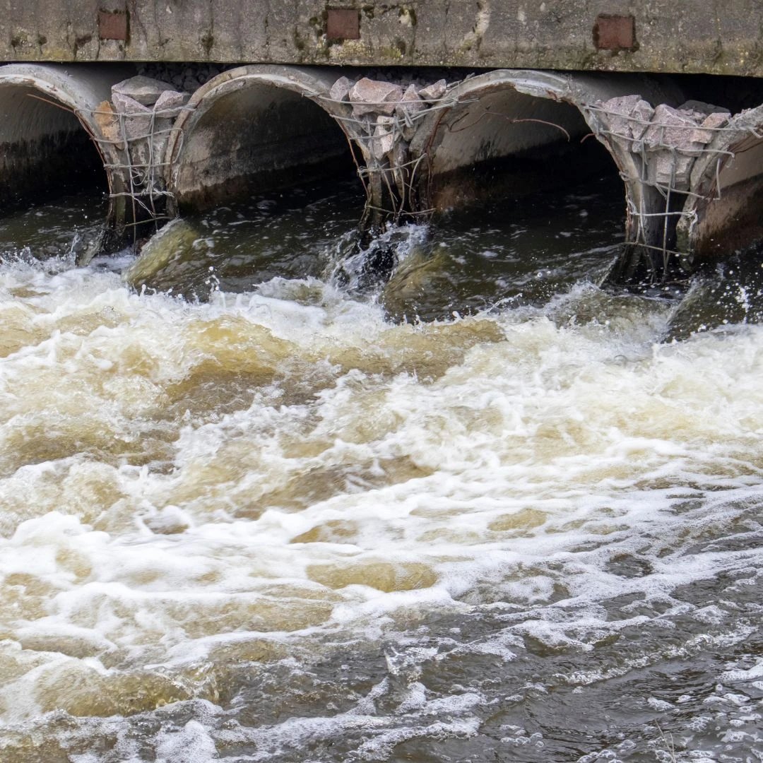 Were you aware that by using traditional chemical cleaners in places such as your toilet, you are causing water pollution?

Our products are designed to be powerful against dirt while being kind to the environment. Make the change today and contribute to protecting our waterways!