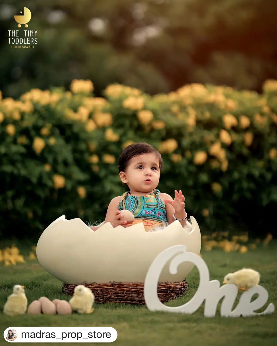 Tanning in the Farm 🐥🐤🐥🐤🧺🐤🐥🐤
.
Beautiful picture by @thetinytoddlersphotography 
.
.
Our Props in use 👇
🍁 Broken Egg Prop - 6,499 INR (Shipping Extra)
🍁 Nest Prop 2,699/-
🍁 Chick 599/-
🍁 Wooden Egg 149/
#babyphotography #baby #newbornphotography #babyboy #photography