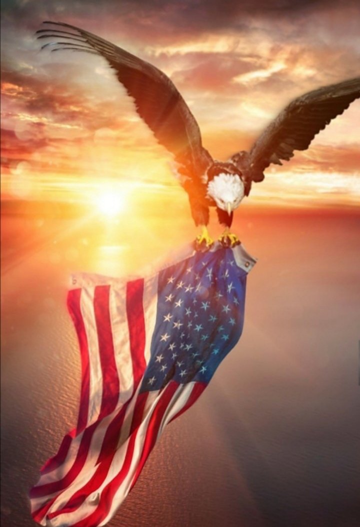 Good morning Patriots! ☕ Happy MAGA Tuesday ☀️ 🇺🇸 Pray for Trump 🙏 🇺🇸 🇺🇸 God Bless America 🇺🇸 #TRUMP2024ToSaveAmerica