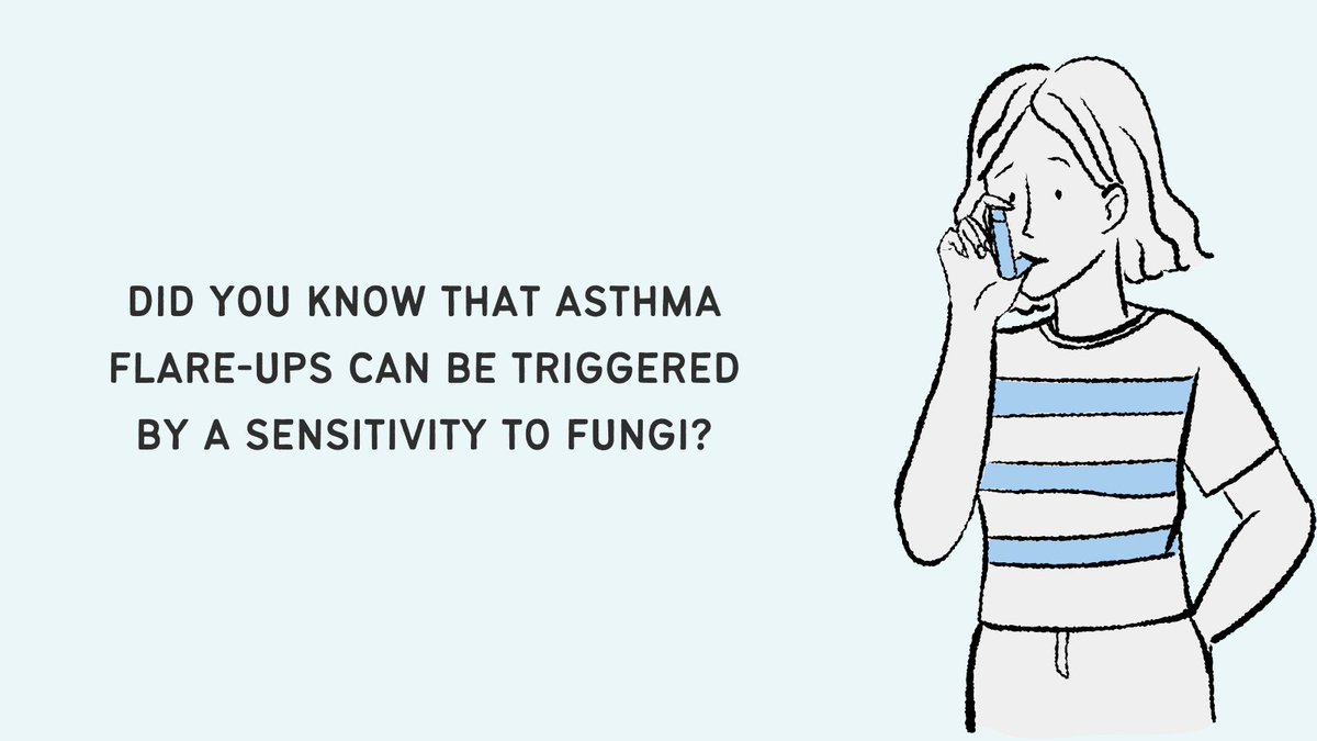 You can read more about SAFS (Severe Asthma with Fungal Sensitisation) below 👇

#aspergillosis #aspergillus #thinkfungus

bit.ly/3b0E7fu