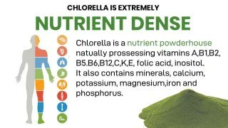 #CHLORELLA  potent, costeffective #wholefood  with additional cleansing properties.
Boosts immune system, #digestivesupport, removal of #heavymetals & toxins. #Alkalising & #Antiviral properties.
#energyboost,  #weightloss, #freshbreath, #bowelcleansing.

regenerativenutrition.com/chlorella-pyre…