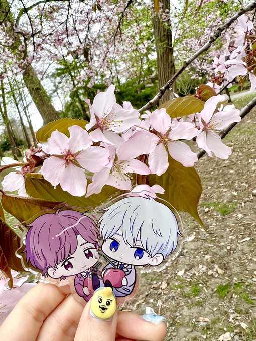 「桜 ジャケット」のTwitter画像/イラスト(新着)