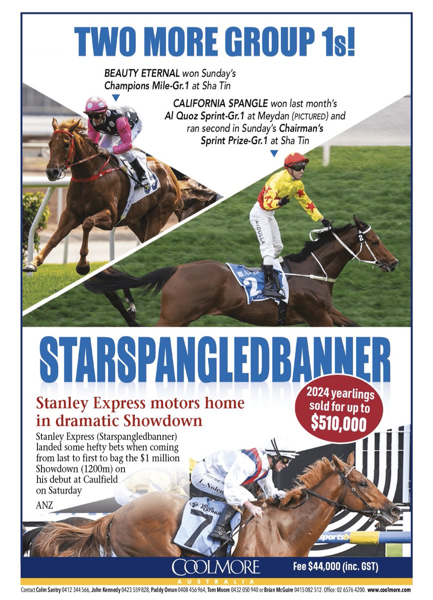 🌟STARSPANGLEDBANNER🌟 Two More Group 1s! 👉 Beauty Eternal 👉 California Spangle Sire of Showdown winner STANLEY EXPRESS 🚂🚂 @CoolmoreAus