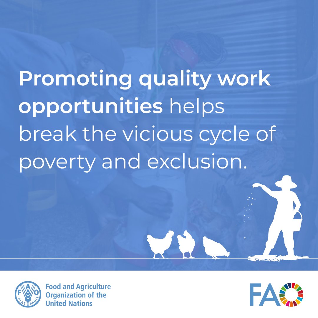 .@FAO 's Integrated Country Approach in Kenya is bridging gaps and unlocking opportunities for people with disabilities. Dive into Stephen's story, showcasing the transformative power of #agriculture and the positive impacts of these initiatives. 🐓🌱 ➡️ fao.org/newsroom/story…