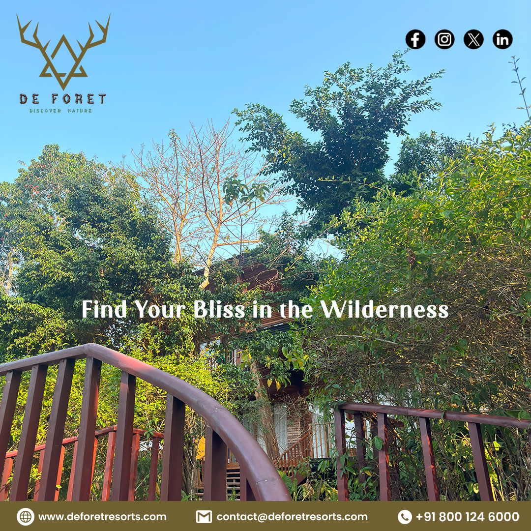 Escape the hustle & bustle of everyday life and reconnect with nature at de Foret resort. Unwind in the peaceful serenity of the wilderness, where the only sounds you'll hear are birds chirping and leaves rustling

#blissfulescapes #makememories #JoyfulMoments #resort #staycation