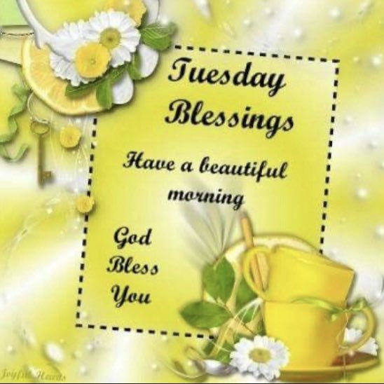 Good morning to all my family and peeps around the globe 🌎 🙏🏽💛 #goodmorning #bekind #tuesdayvibe #tuesdaymotivations