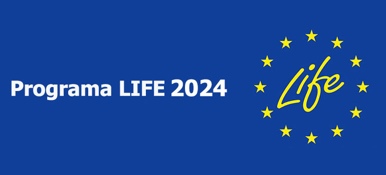 📢Abierto #ProgramaLIFE2024 de @cinea_eu 

🌱♻️Ayudas europeas a la innovación en varias áreas relacionadas con #MedioAmbiente

💰Presupuesto: 381M€
📆 Plazo: entre 5 y 19 septiembre

👉Más info: inncome.es/programa-life-…