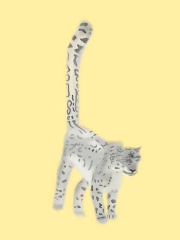ユキヒョウ
Snow leopard
#illustration #イラスト #漫画 
#manga #多摩動物公園
