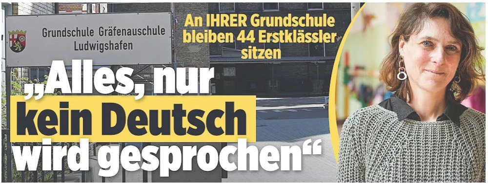 Ich finde ja, dass man die Kinder von #Nazis, die kein #Deutsch sprechen, nicht alle in eine Klasse stecken sollte. #HaltdieFresseBild