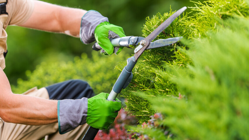 Quels outils choisir pour creuser la terre de votre jardin ?
👉 l.laprovence.com/8AsG
#GuideShopping #Votre #Pour #Creuser #Outils