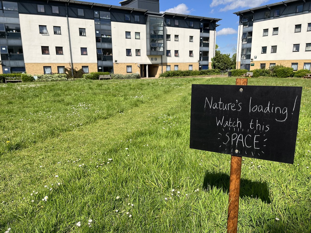 'Nature loading...' At our home, @Roe_Southlands at the @RoehamptonUni, the quad is being 're-wilded' to enhance #biodiversity. Find out about this student-led initiative: southlandsmethodisttrust.org.uk/2024/04/30/rew… #greencampus @Growhampton