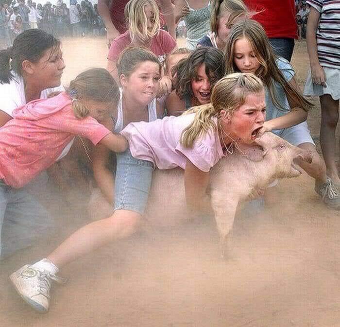 What if this was a dog? In their capacity to suffer all human and non-human animals are equal: A Dog is a Pig is a Bear is a Boy .. #StopAnimalAbuse #LiveVegan no excuses anymore 🙏