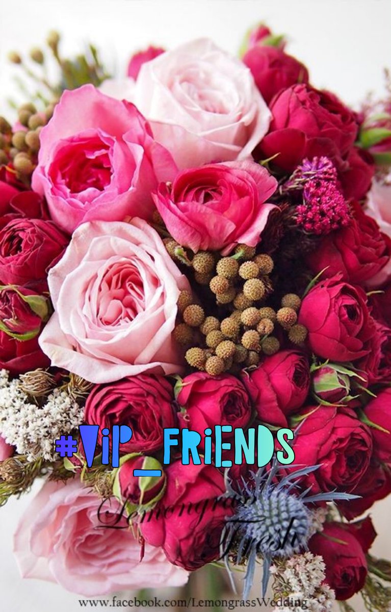 #VIP_FRIENDS ⭐ @SOY_ALESXIA2 @TOP_ANAHI @_ALESXIA 🍬 @JB22BRASIL @LIZZEY_1 @SHS_1981 @As_t40 @ALESXIA_ANK @MQ_786 @shZ447 @VIO_LET9 @seraichiban3 @Bn_gsh2 @Efamy_ @DyelQueM @As_t40 @_B_RANDON6 @SINGHASINGH @NabobJuliuson @CVowelsAuthor @LauraMi25356713 @GRAHAM15583