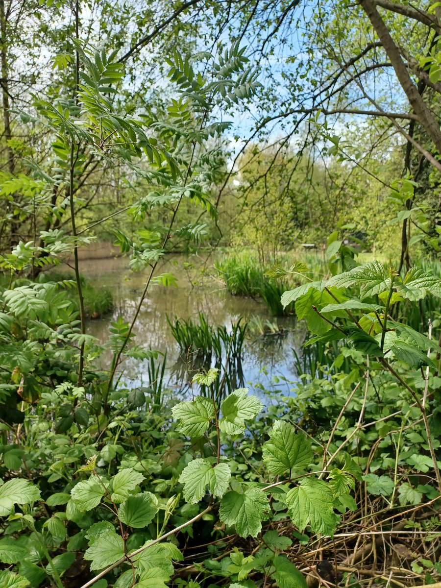 We're exploring the beautiful and serene Denso Marston Nature Reserve in Baildon.