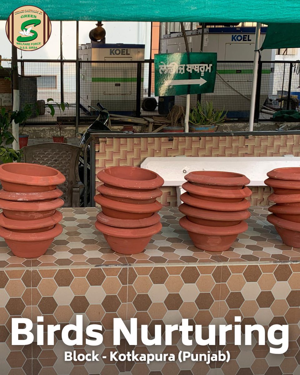 GreenSwelfares's tweet photo. Embracing nature's guests with open arms! 🐦Dedicated volunteers are making a difference by keeping bird feed and water readily available on their roofs, walls, and balconies. Coupled with shaded bird baths, they're ensuring our feathered friends stay cool, hydrated, and healthy this summer. Let's join hands in creating a welcoming environment for our avian companions! #BirdCare #BirdsNurturing #SummerSupport #DeraSachaSauda