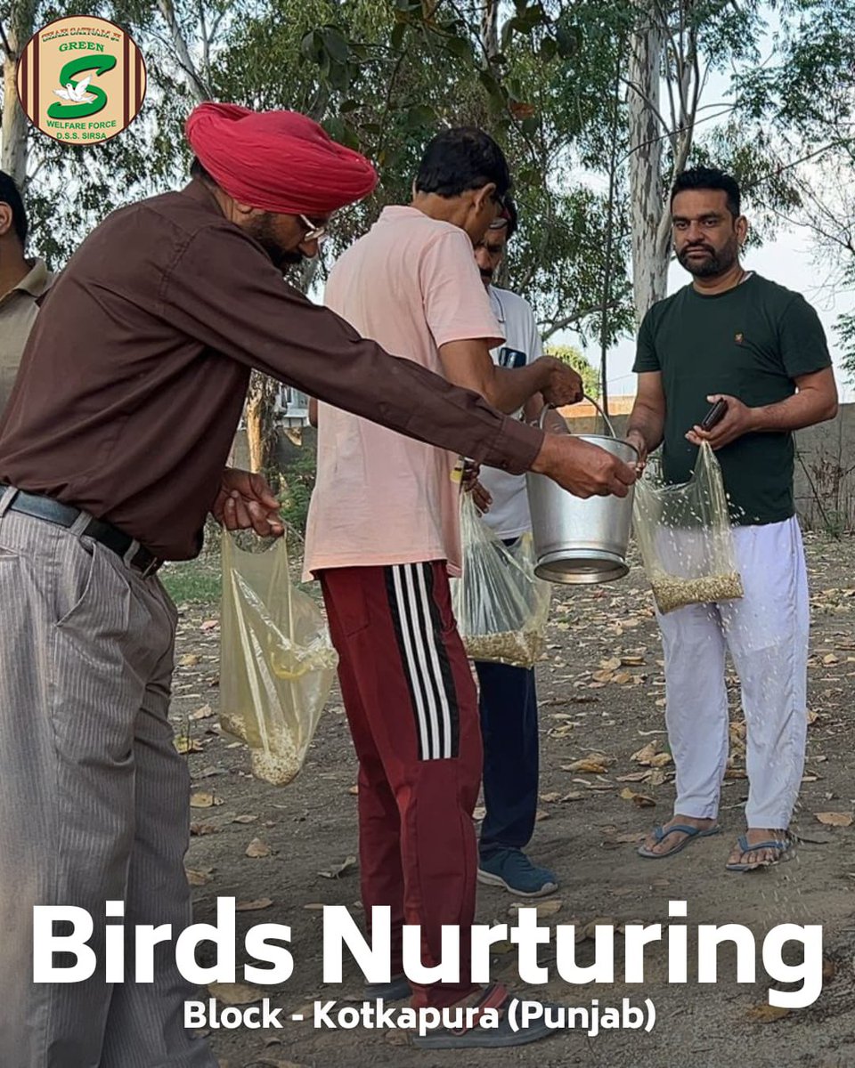 GreenSwelfares's tweet photo. Embracing nature's guests with open arms! 🐦Dedicated volunteers are making a difference by keeping bird feed and water readily available on their roofs, walls, and balconies. Coupled with shaded bird baths, they're ensuring our feathered friends stay cool, hydrated, and healthy this summer. Let's join hands in creating a welcoming environment for our avian companions! #BirdCare #BirdsNurturing #SummerSupport #DeraSachaSauda