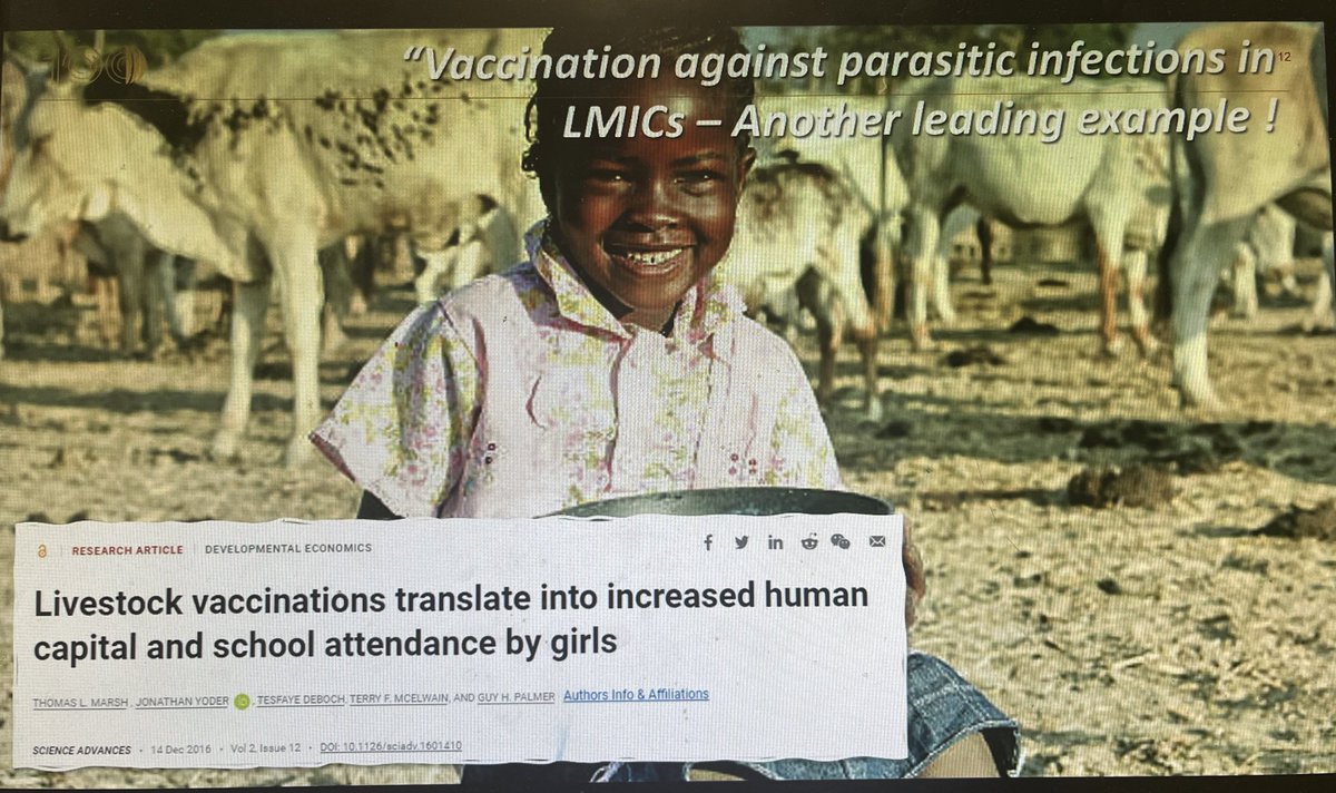 Javier Yugueros Marcos @royalsociety Very interesting example on how animal vaccines impact on UN SDGs. Vaccinations against parasitic infections in cattle ⬇️ the requirement for 3 diff antimicrobials & the money saved went to educating their daughters. #OneHealth #VaccinesWork