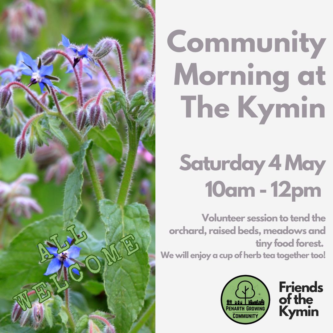 This coming Saturday, 4th May, is our next community morning at The Kymin, with @friendsofthekymin We will be planting borage in the strawberry bed and oca in the food forest, and a bit of weeding too. All welcome, hope to see you there! #thekymin #penarth