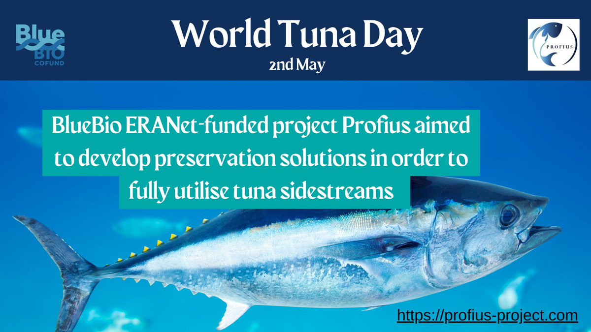 Celebrating #WorldTunaDay with Profius🐟 
The @BlueBioCOFUND funded project is revolutionizing tuna #sidestream utilization, ensuring quality & reducing supply chain waste. 🌊 
#bluebioeconomy @NTNU @aquabt @Haskolinn_Ak 

profius-project.com
🇩🇰🇳🇴🇲🇹🇬🇱🇮🇸