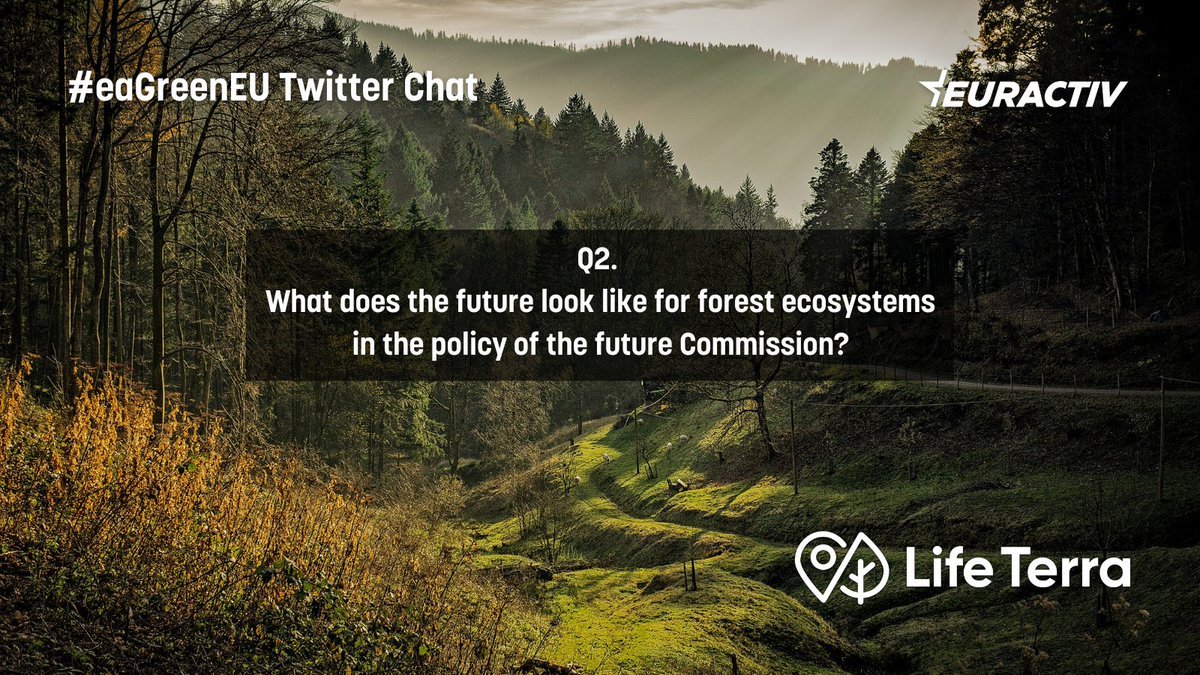 Q2. What does the future look like for forest ecosystems in the policy of the future Commission? #eaGreenEU @LIFETerraEurope