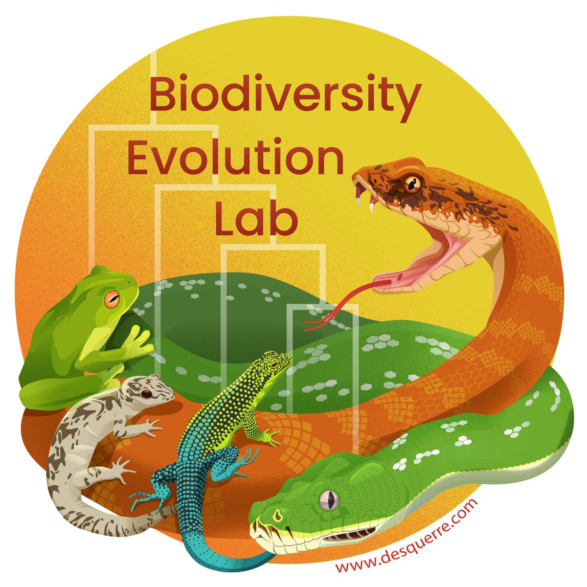 Thanks to @GraphicsSci for the amazing logo of the research group I established at @UOW. Send me an email if you are looking for a PhD project on macro-evolution, phylogenetics, venom evolution, species delimitation or more! more info at desquerre.com