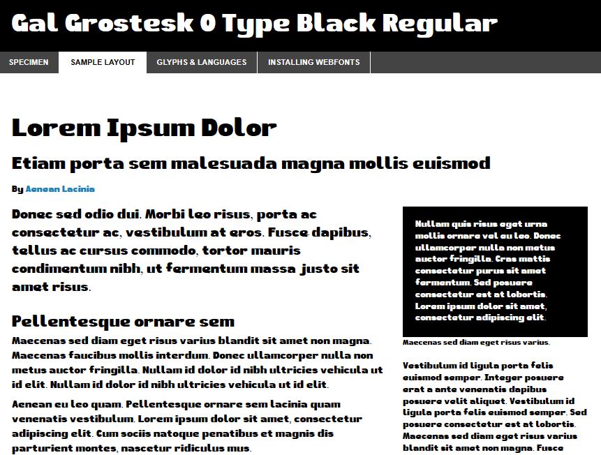 Gal Grotesk O Type Black Regular #galangpersadafonts #otypfndry2023 #otypfndry #typedesign #font #myfonts #typography #typedesignerclub #typedesign #swishstyle #grotesk
