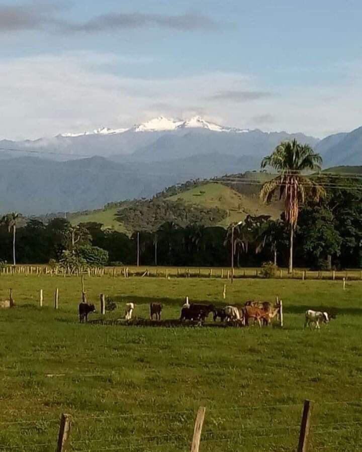 Espectacular 
SIERRA NEVADA de MERIDA vista entre  Socopó y Bum Bum…Edo Barinas VENEZUELA 🇻🇪🇻🇪🇻🇪🇻🇪🇻🇪🇻🇪🇻🇪🇻🇪🇻🇪🇻🇪
Créditos: #barimassiemprebarinas