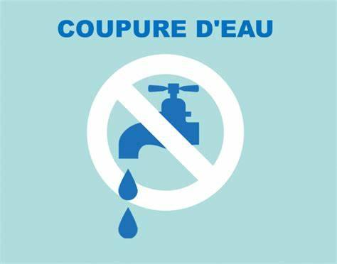 [ Coupure d'eau]
En raison d'une fuite d'eau détectée ces derniers jours sur le réseau du secteur Croix de Fer-rue du Gué, une coupure d'eau devrait avoir lieu dans journée du jeudi 2 mai (entre 9h et 17h30) afin de permettre la réparation par les techniciens de Véolia.