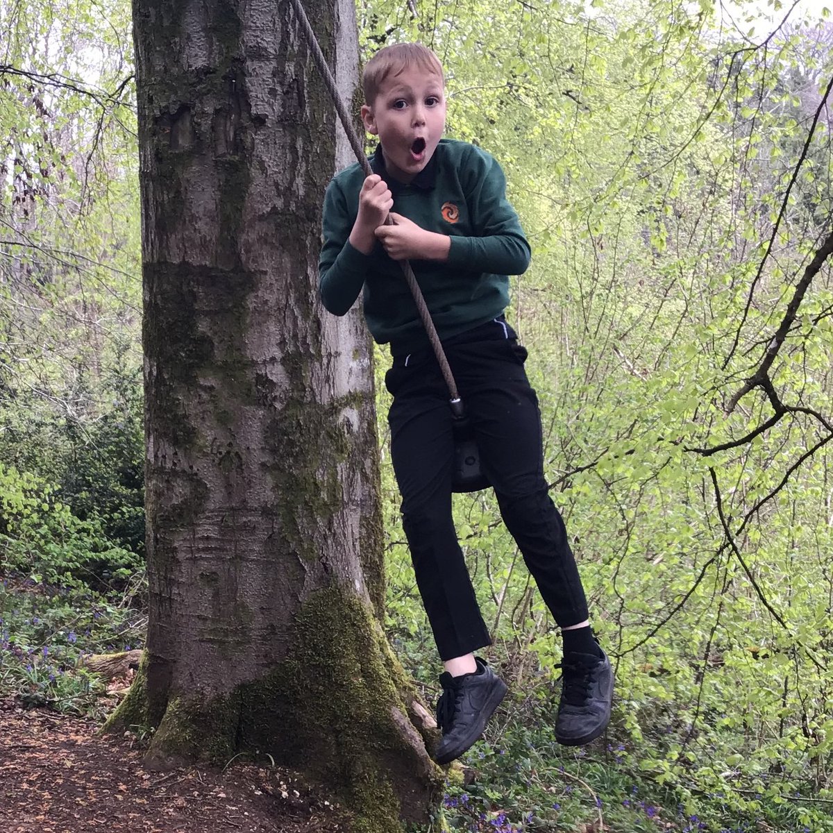 Rose Class, from William Morris School, enjoyed their forest school trip to Woodchester Park last week. They enjoyed a scavenger hunt looking for different animals and plants 🌱