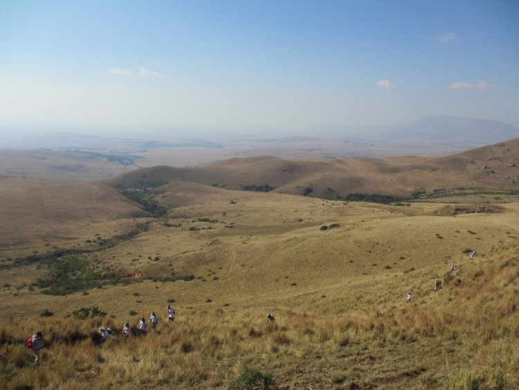 Proposed coal mine in Mpumalanga grasslands back in court groundup.org.za/article/propos… by John Yeld