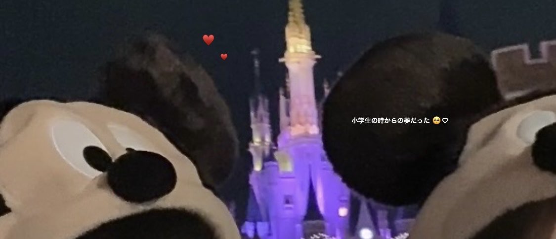 生まれて初めてのディズニーランドでプロポーズされました 💍
本当に幸せで、一生忘れたくない夢のような時間 ꙳✧·˚
サプライズだらけの旅行で幸せすぎたな 、、 🚶🏽‍➡️🪽