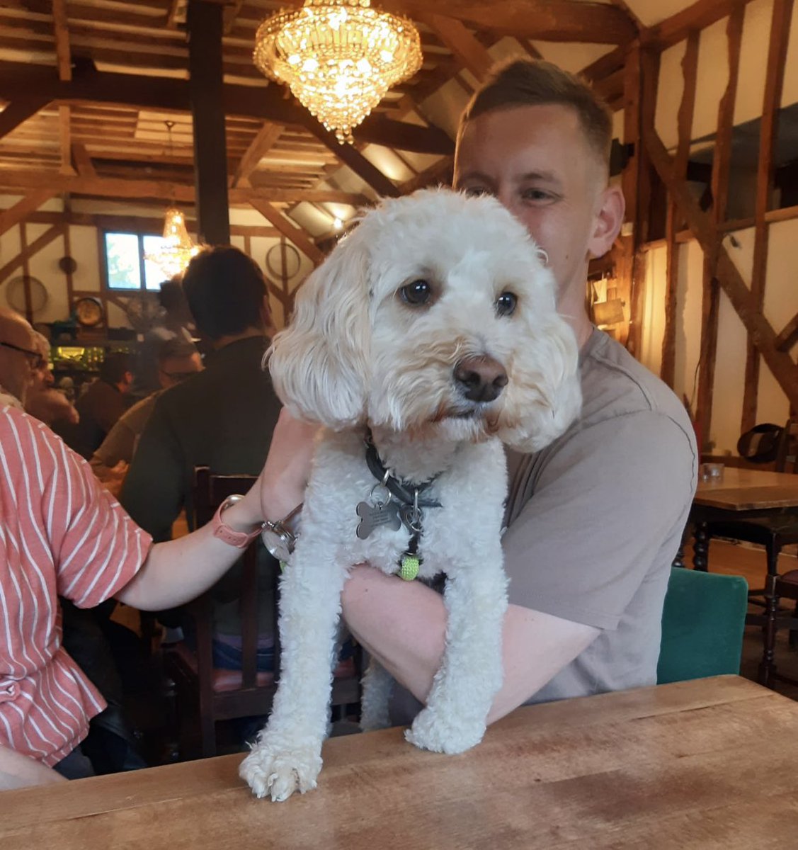 You’d be barking mad to miss our (dog friendly) quiz tomorrow night. Book yourself a table to give our regular winner Teresa (and her cutie-pie of a pooch Purdy) a run for their money. Cash prize 💴 

theredbarnblindleyheath.co.uk

#WhatsOn #PubEvents #PubQuiz #Surrey #BlindleyHeath