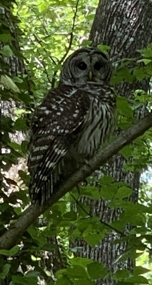 tom q. gehl tweet media