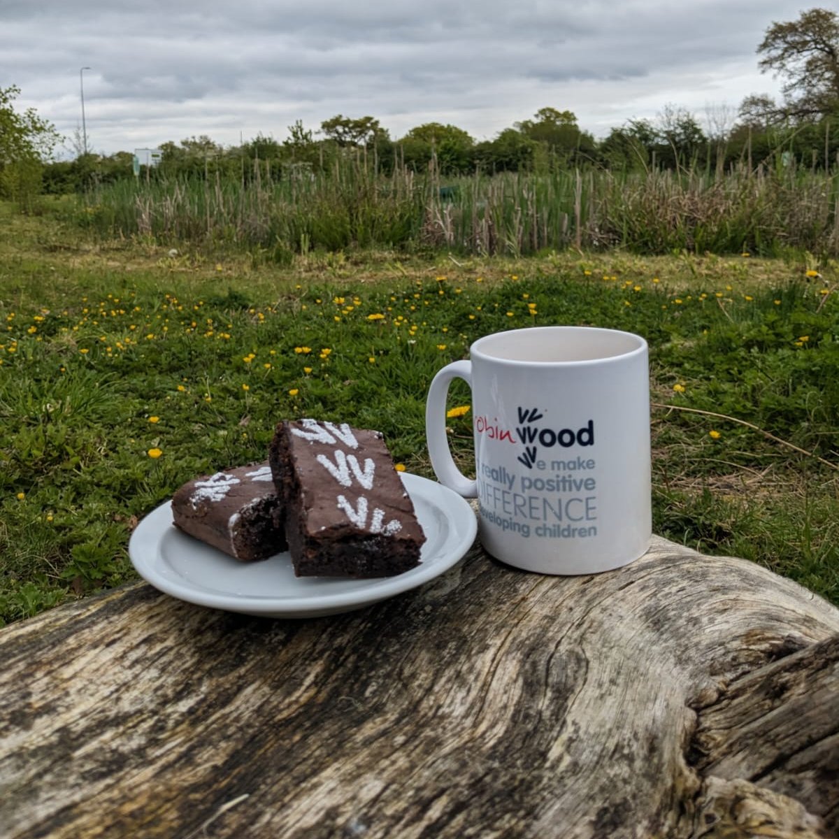 How good do these look! The catering team at Maes y Nant have made some delicious brownies decorated with our new stencils.🍰🤤 #timeforcake #lovewhereyouwork