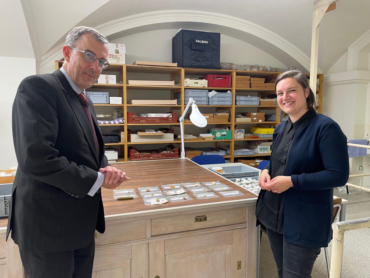 With Dr Caroline Posch, Curator of the @NHM_Wien Stone Age Collection, and artefacts from the Gudenus Cave archaeological site in Lower Austria, excavated in the 1970s and now being returned from Australia.