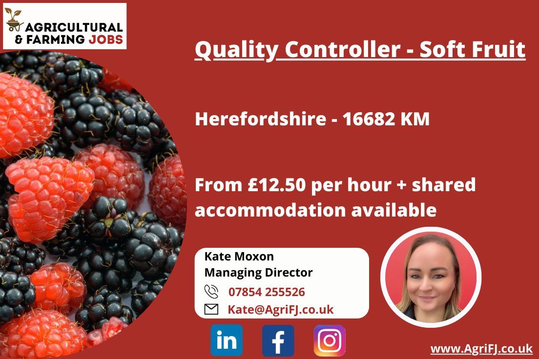 Job Opportunity - Quality Controller 📍 Herefordshire 💰 From £12.50 per hour + shared accommodation available To find out more about this job role and to apply, please contact Kate on 📧 Kate@AgriFJ.co.uk or 📞 07854 255526 #agrifj #qualitycontrol #qualitycontroller #QC
