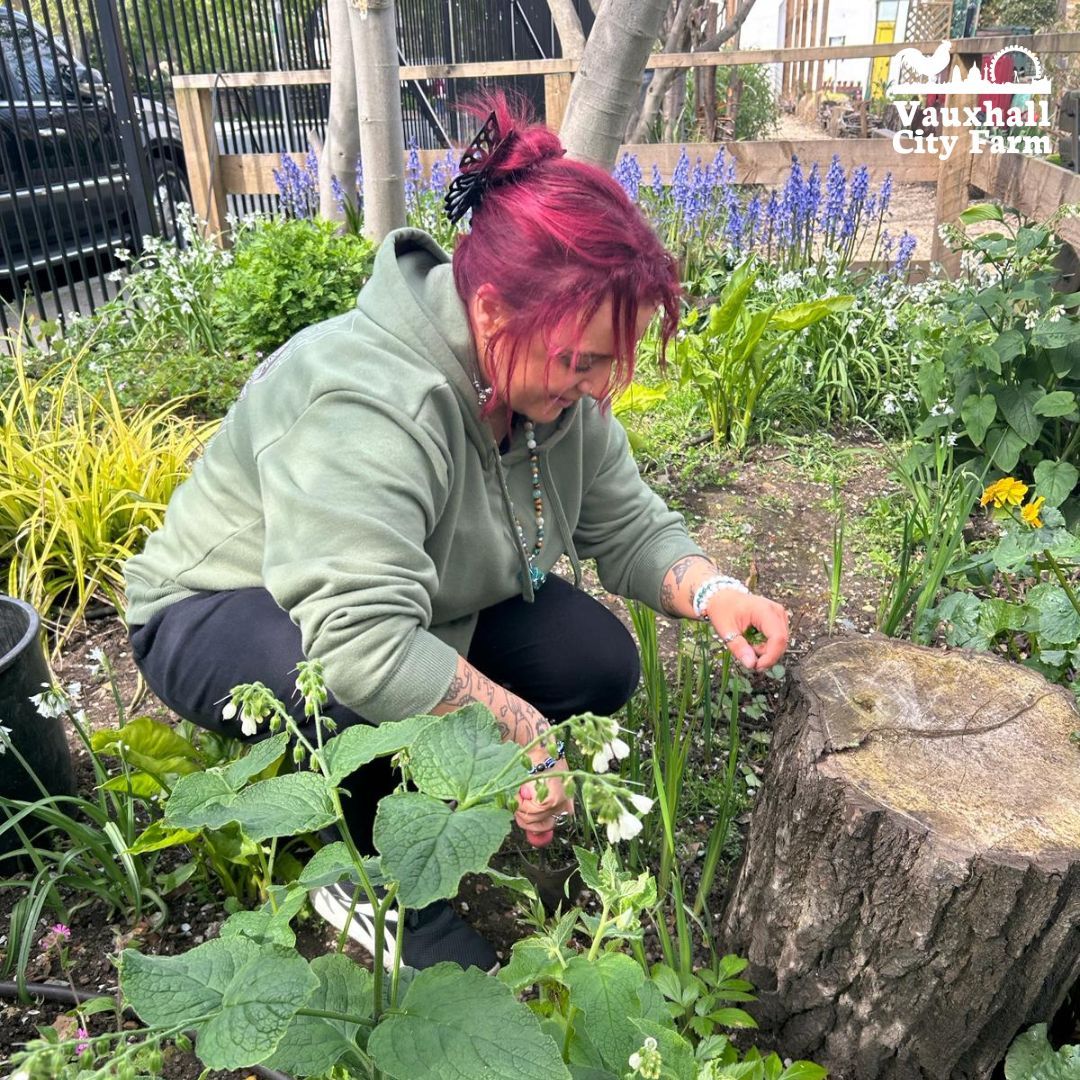 Our gardening clubs have been a real hit! It is a fantastic opportunity to spend time outdoors in a safe space and learn to love the garden for FREE!

Register your interest by emailing education@vauxhallcityfarm.org 

#CommunityGarden #Gardening #Gardener #GardeningClubs #Local