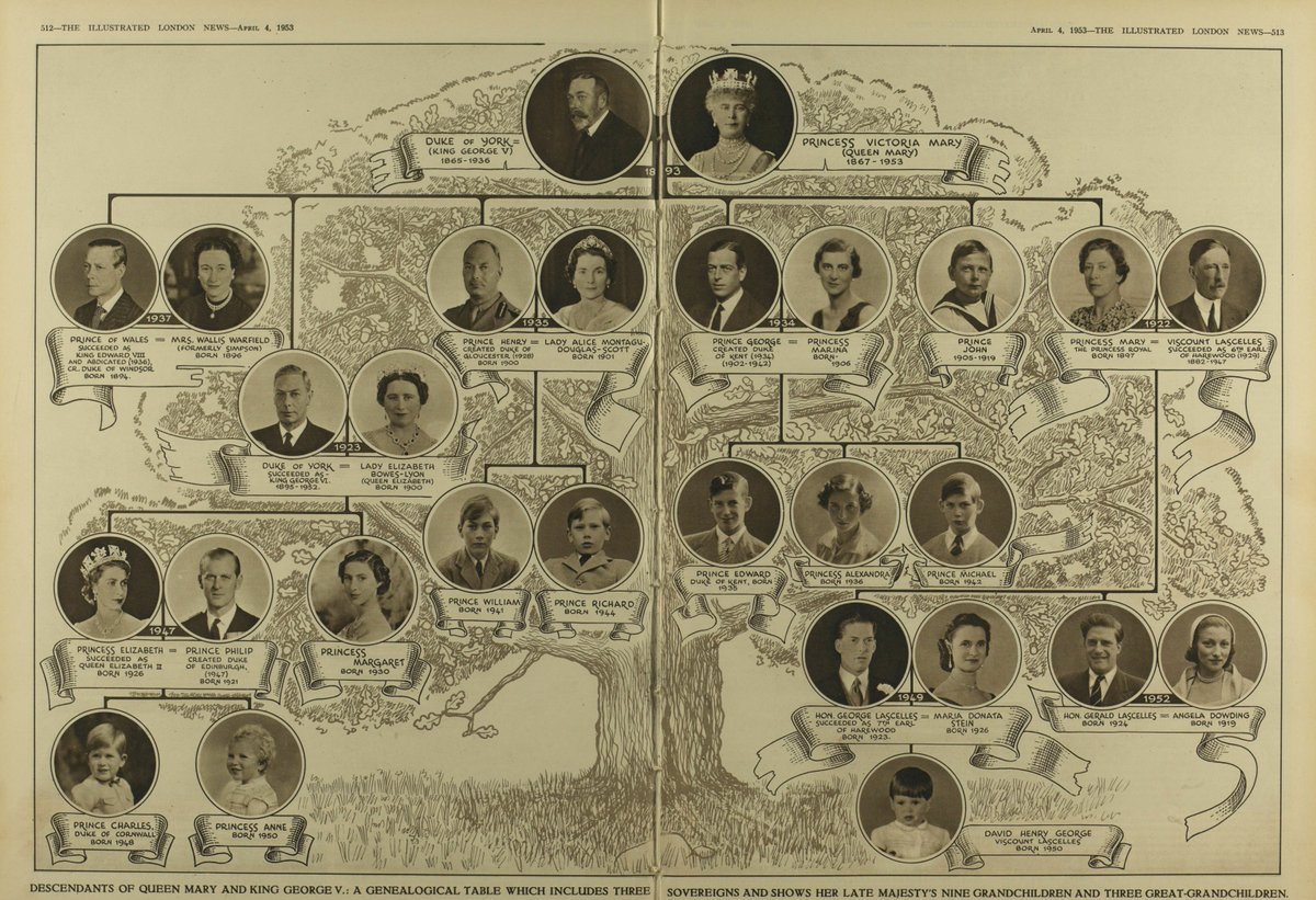 How's this for a #FamilyTree? 👑 🤩 Published in the Illustrated London News in 1953, this decorative family tree shows the descendants of King George V and Queen Mary. 📷 bit.ly/3y1aKaW