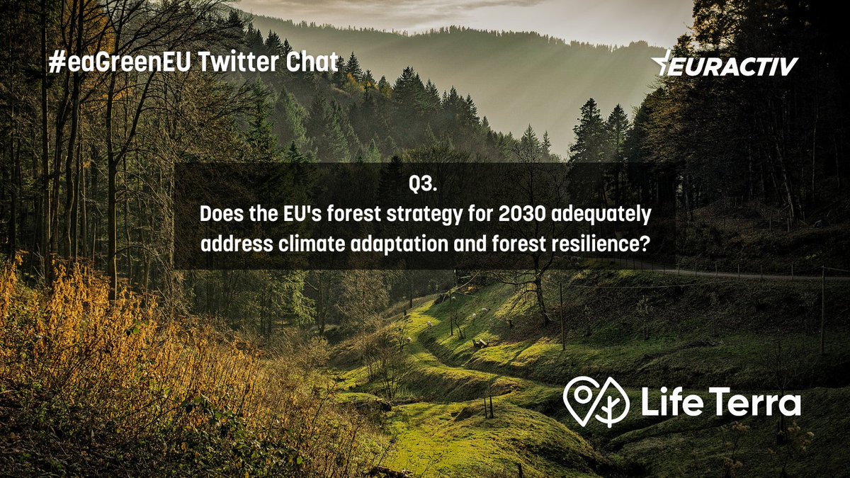 Q3. Does the EU's forest strategy for 2030 adequately address climate adaptation and forest resilience? #eaGreenEU @LIFETerraEurope