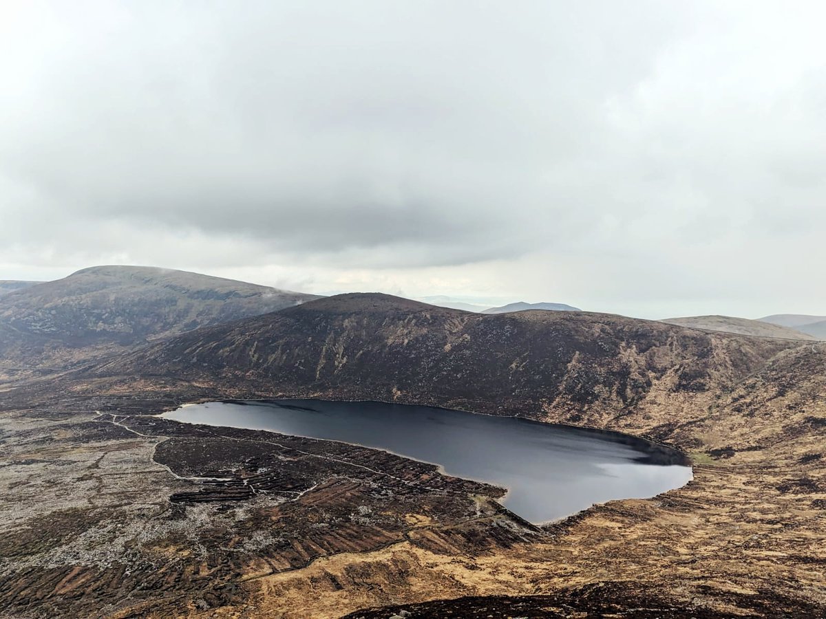 RPP Architects tweet media