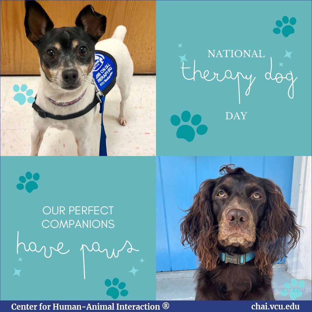 National Therapy Animal Day was created to recognize all of the exceptional therapy dogs and other therapy animals. Thank you to all of our Dogs on Call dogs and human handlers who drive them to the hospital! 

#NationalTherapyDogDay #TherapyDogDay #NationalTherapyDogDay2024