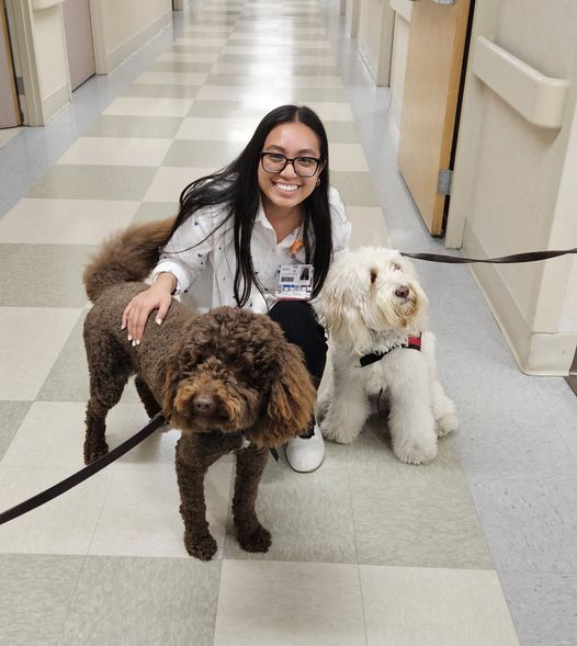 On National Therapy Animal Day, these adorable furry friends are making a difference by providing therapy to those in need.

Learn more: bit.ly/44ldeNy

#PositiveImpact #CareLikeFamily #HCAFloridaHealthcare