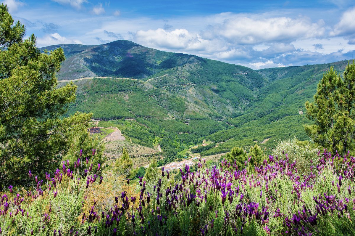 What if we told you that in #Cáceres province there was an area with a waterfall, a natural swimming pool, a reservoir AND a Fala route! 🤯 Well the Sierra de Gata has it all, come and discover it for yourself 👉 bit.ly/3wZYXsX #VisitSpain