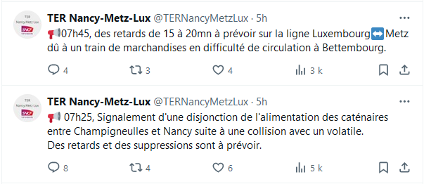 Quoi de 9 sur @TERNancyMetzLux à part quelques bestioles 🐑🐦🦢🐑et un train de marchandise qui galère ?
@david_valence @Franck_LEROY_ 
#bingo